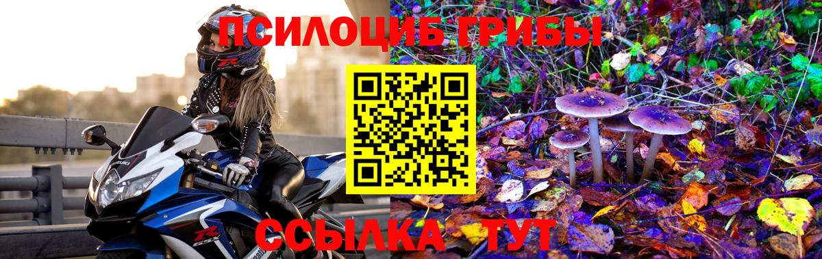Галлюциногенные грибы GOLDEN TEACHER Торжок