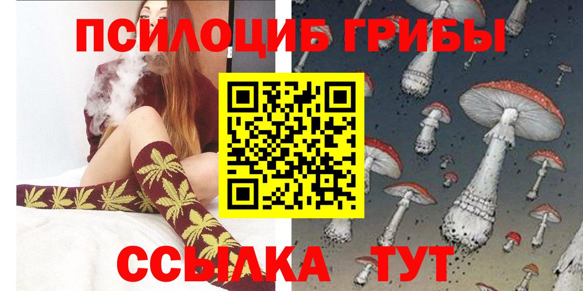 Псилоцибиновые грибы Psilocybine cubensis  Галлюциногенные грибы Psilocybine cubensis  Торжок  хочу   Вход с VPN 